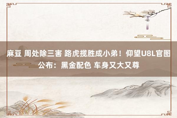 麻豆 周处除三害 路虎揽胜成小弟！仰望U8L官图公布：黑金配色 车身又大又尊