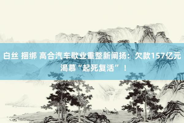 白丝 捆绑 高合汽车歇业重整新阐扬：欠款157亿元 渴慕“起死复活” ！