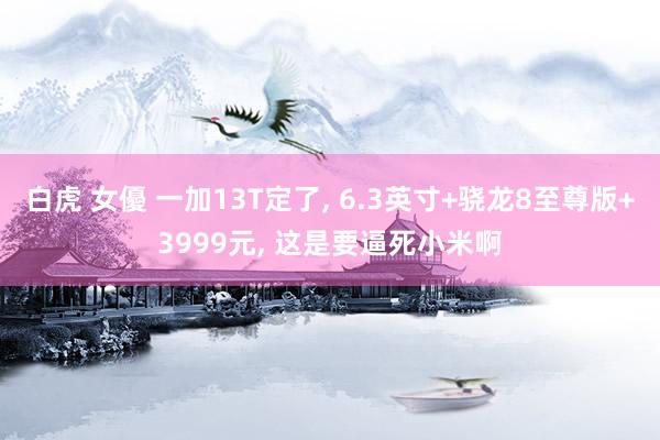 白虎 女優 一加13T定了, 6.3英寸+骁龙8至尊版+3999元, 这是要逼死小米啊