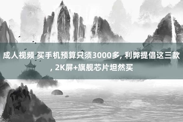 成人视频 买手机预算只须3000多, 利弊提倡这三款, 2K屏+旗舰芯片坦然买