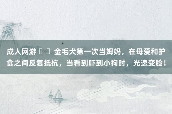 成人网游 ▶️金毛犬第一次当姆妈，在母爱和护食之间反复抵抗，当看到吓到小狗时，光速变脸！